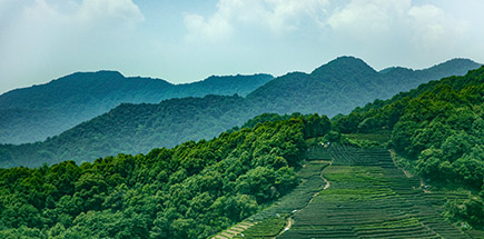 以保護(hù)環(huán)境為己任